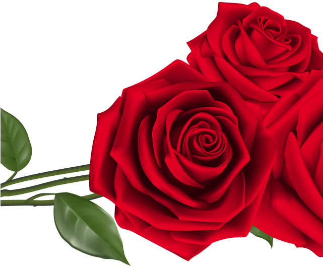 Red Rose Clipart Top View - Png Download (640x542), Png Download