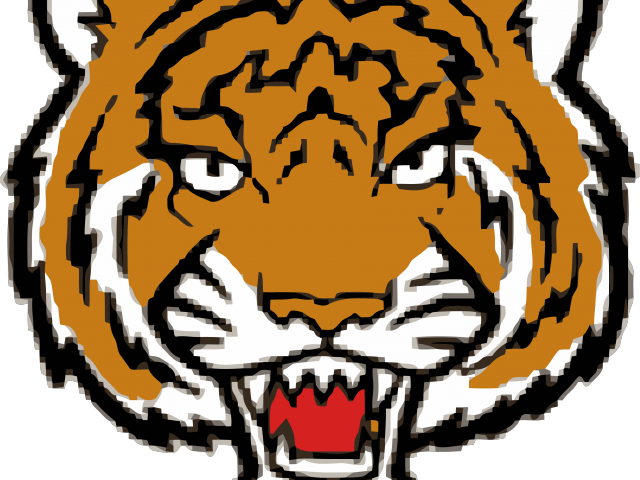Tiiger Clipart Tiger Face - Png Download (640x480), Png Download