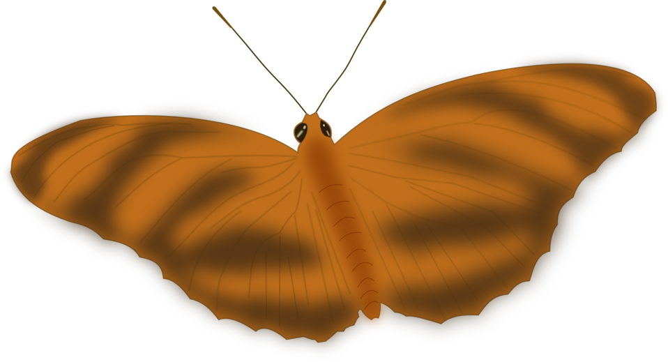 An Ethereal Butterfly Clipart (958x519), Png Download