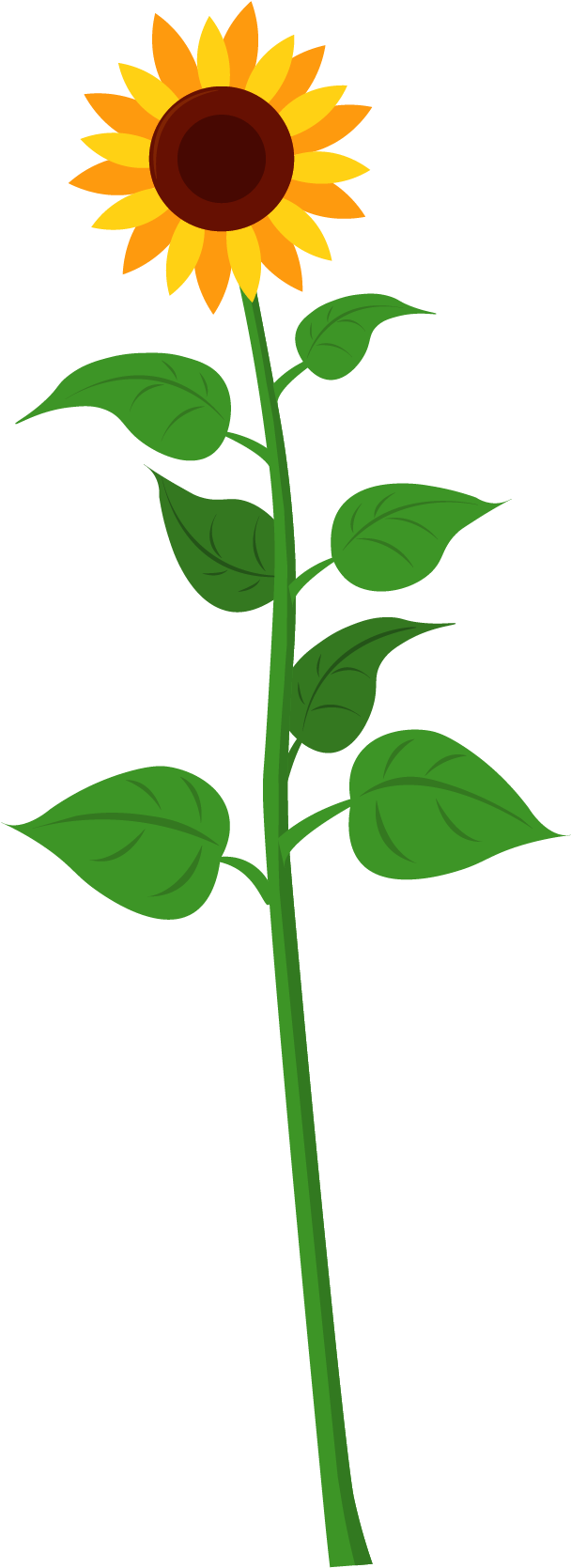 Sunflower Clipart (1667x1668), Png Download