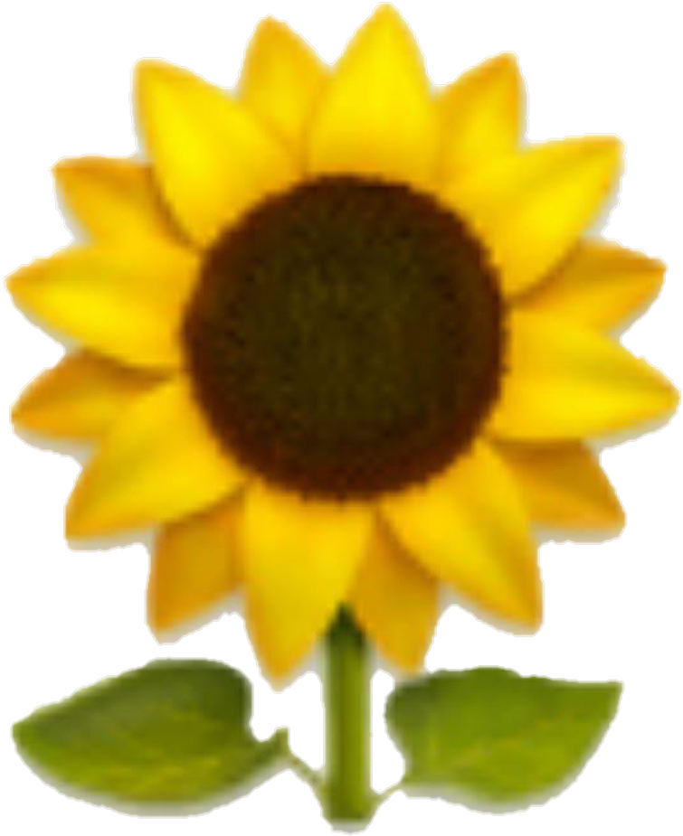 Emoji Sunflower Yellow Yellowflower Flower Clipart (1024x990), Png Download