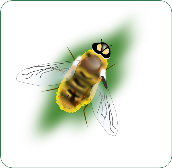 This Free Clip Arts Design Of Digital Bee Art - Png Download (600x598), Png Download