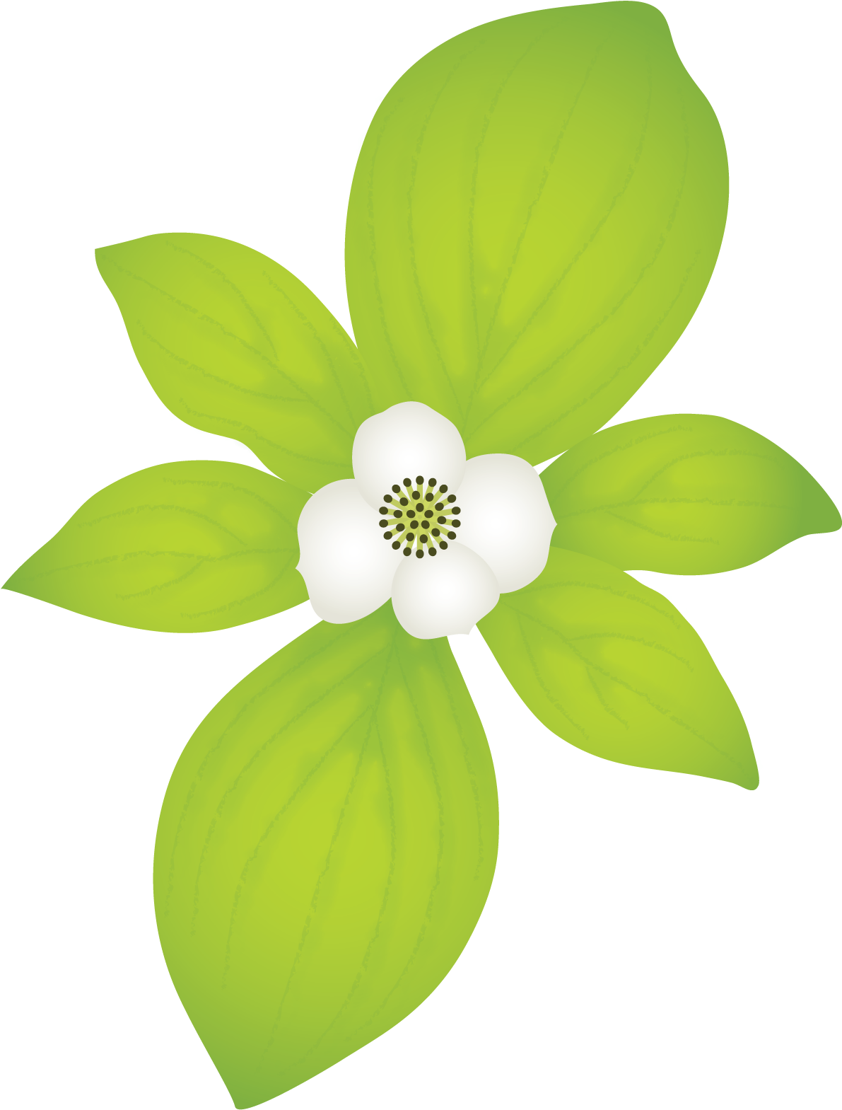 I Released Two New Free Texture Packs, From Last Month's Clipart (1344x1712), Png Download