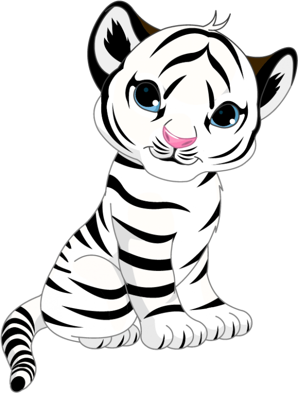 800 X 800 5 Clipart (800x800), Png Download