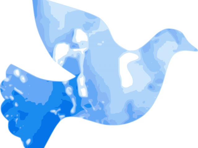 Dove Clipart Small Dove - Png Download (640x480), Png Download