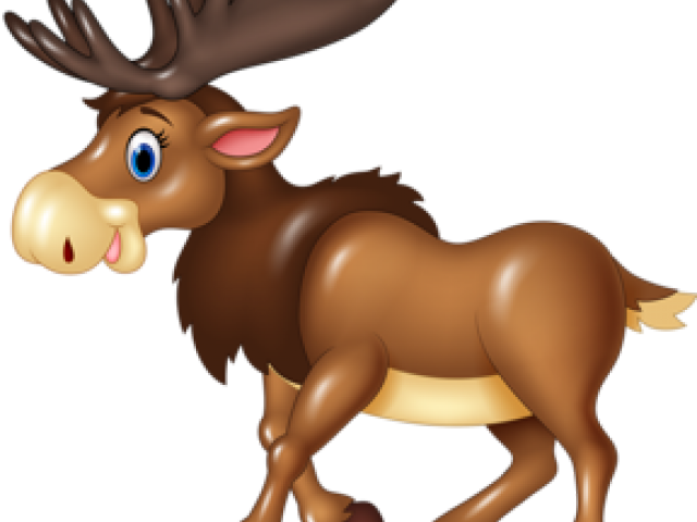 Cartoon Moose Clipart - Png Download (640x480), Png Download