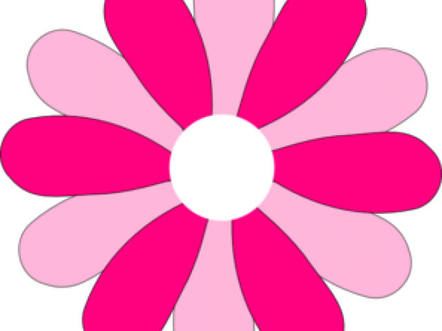 Pink Daisy Clipart - Png Download (640x480), Png Download
