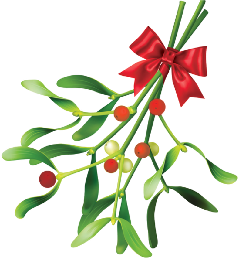 Holly Sticker Clipart (1024x1024), Png Download