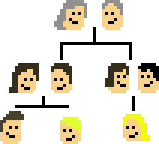 My Family Tree Clipart (790x570), Png Download