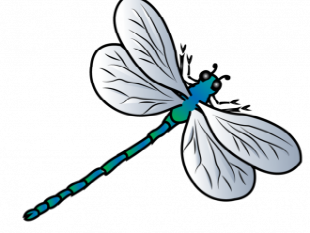 Dragonfly Clipart Flying Dragon - Png Download (640x480), Png Download