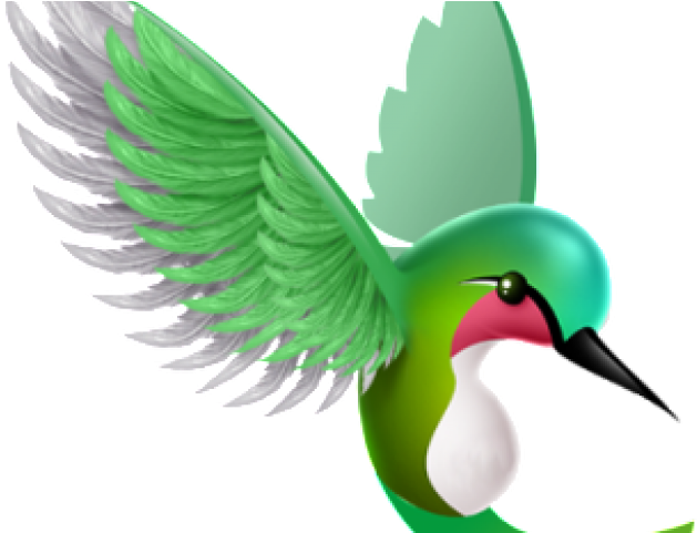 Hummingbird Clipart Clip Art - Png Download (640x480), Png Download