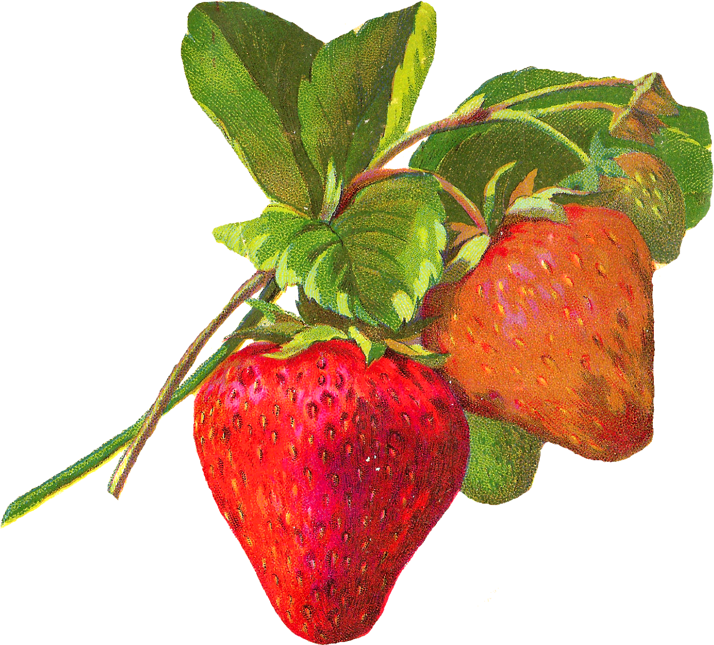 A Free Image Blog Offering Royalty-free, Printable Clipart (1600x1449), Png Download