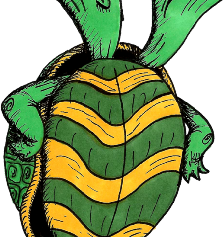 Tortoise Clipart Baby Boy Turtle - Png Download (640x480), Png Download