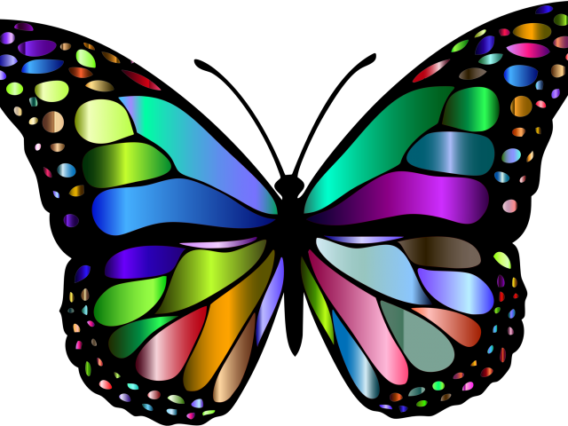 Monarch Butterfly Clipart Png Full Hd Transparent Png (640x480), Png Download