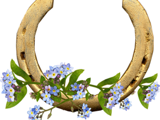 Forget Me Not Clipart Clear Background - Png Download (640x480), Png Download