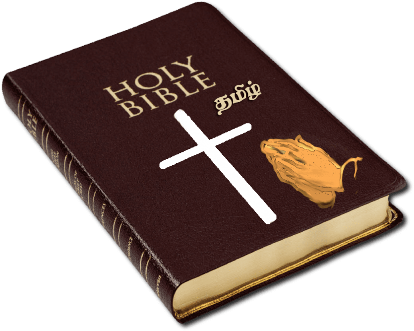 Free Png Download Holy Bible Png Images Background Clipart (850x678), Png Download