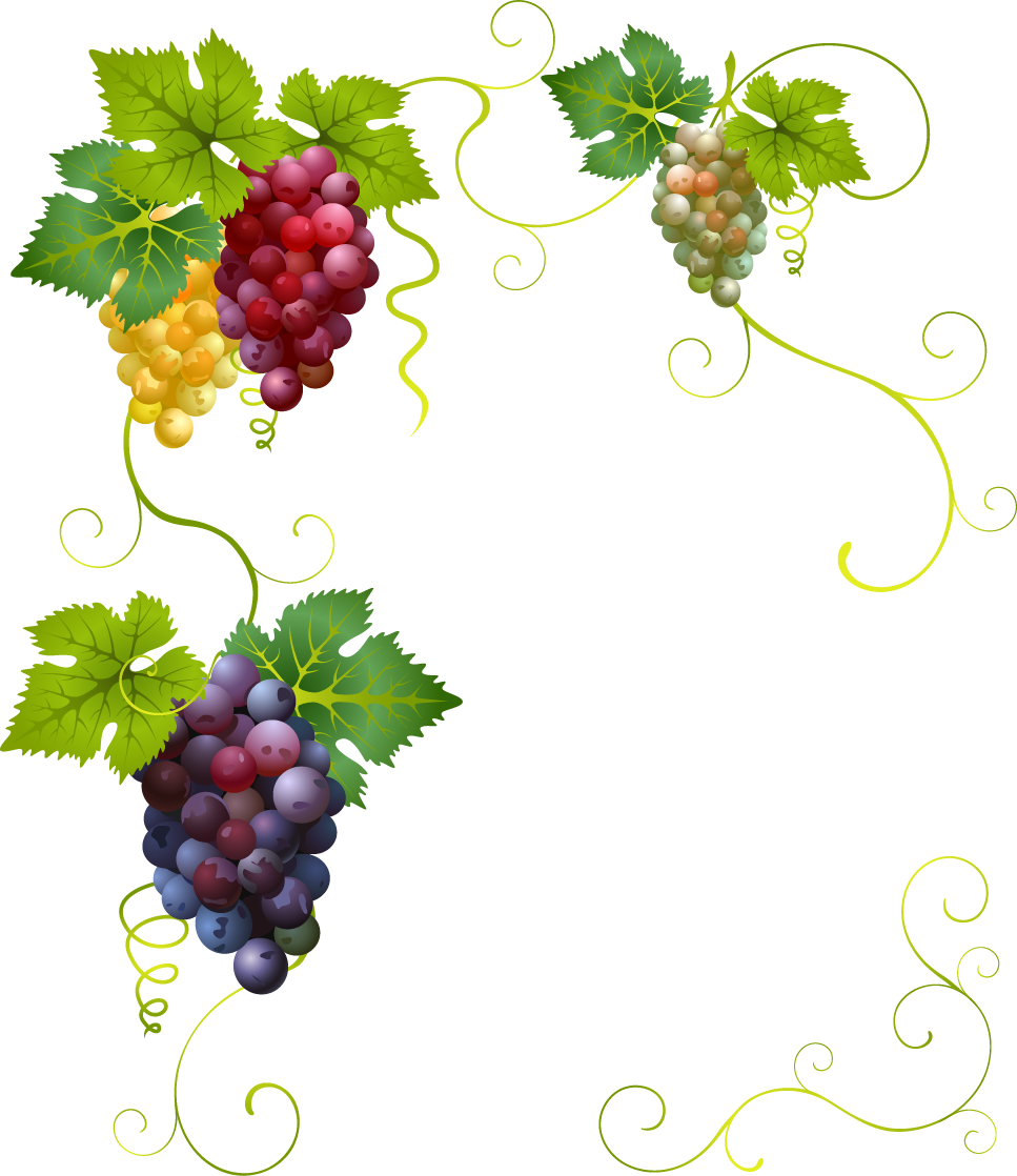 Creative Grape Vines Design- Grape Png Image & Grape Clipart (967x1118), Png Download