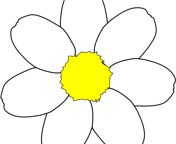 Daisy Clipart Daisey - Png Download (640x480), Png Download