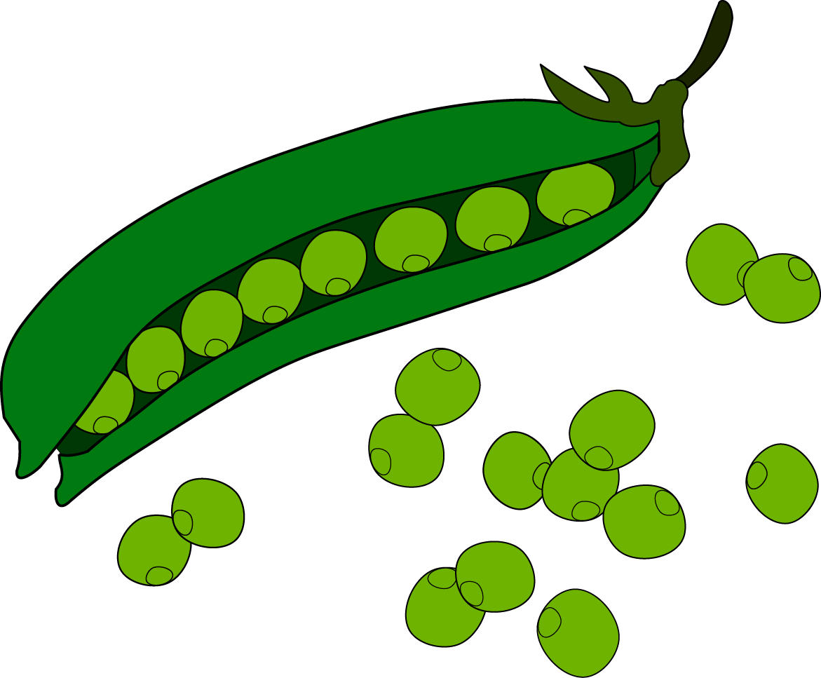 Pea Fruit Clip Art - Png Download (1171x967), Png Download
