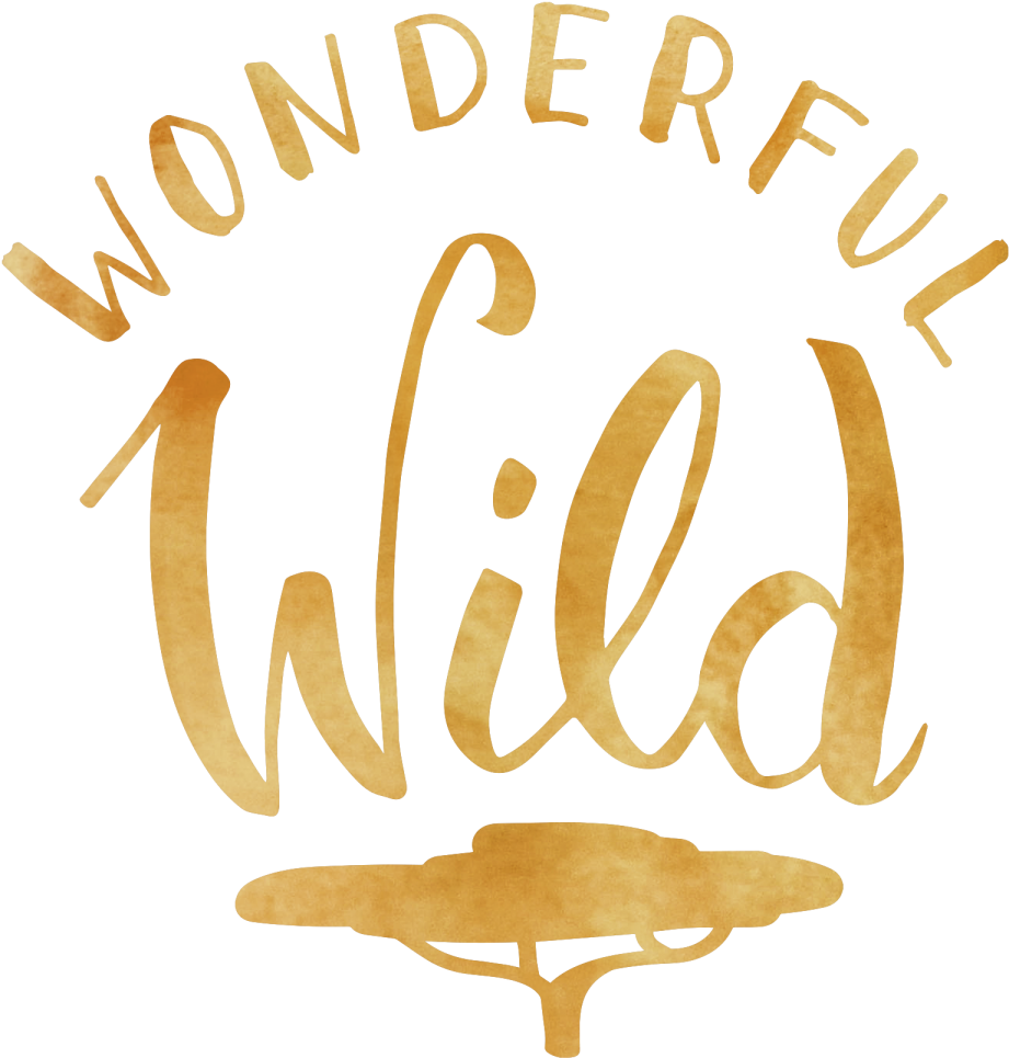 Wonderful Free Png Image - Calligraphy Clipart (1200x1200), Png Download