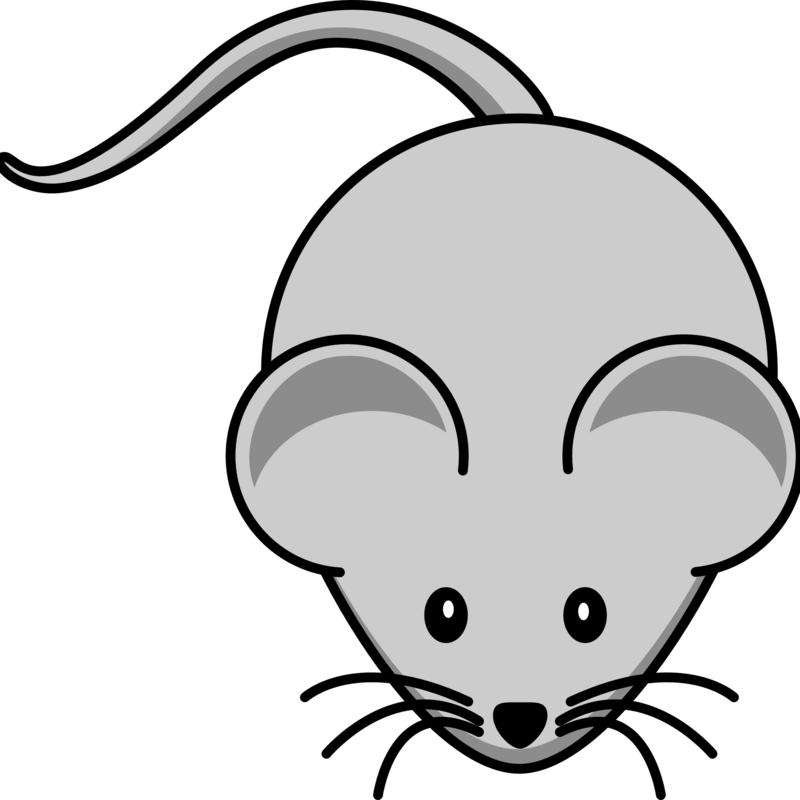 Mouse Clipart - Mouse Clipart Transparent - Png Download (800x800), Png Download