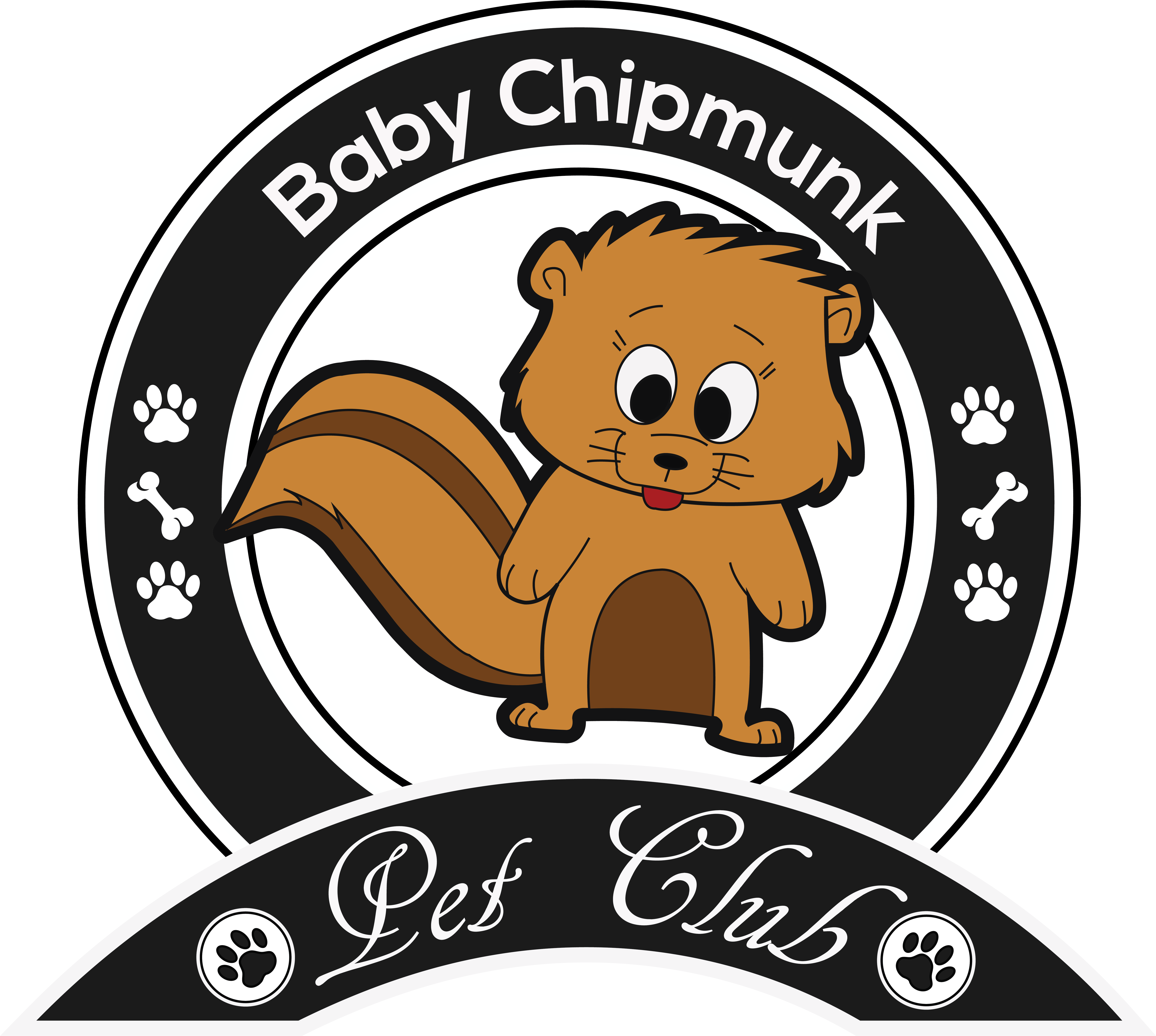 Chipmunk Clipart (6341x5704), Png Download