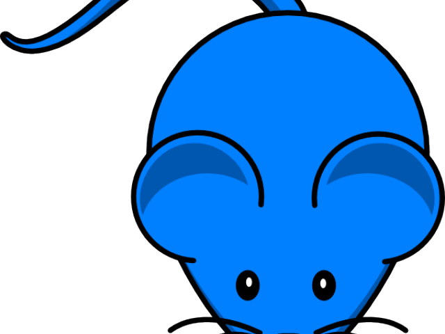 Mouse Clipart Science - Myš Clipart - Png Download (640x480), Png Download