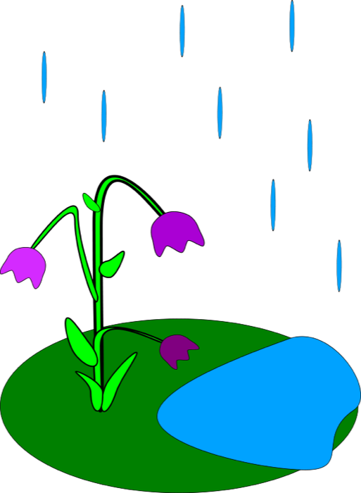 Clipart Of Showers, Anyway And Brings - Rainy Flowers Clipart - Png Download (513x700), Png Download