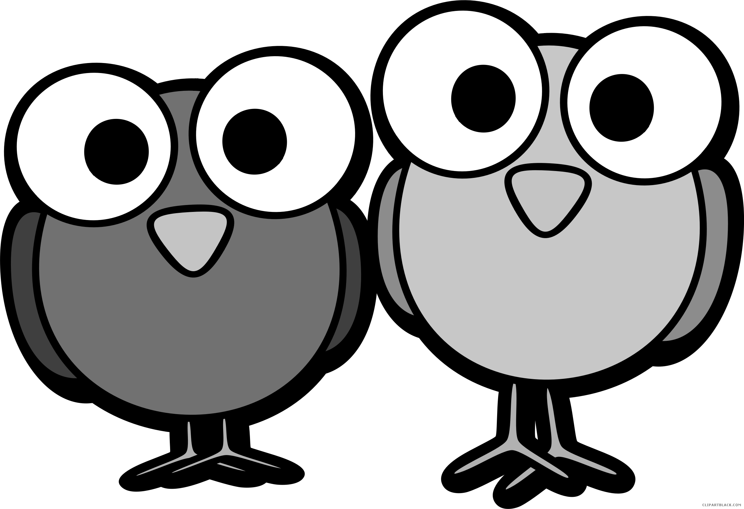 Huge Bird Animal Free Black White Clipart Images Clipartblack - Birds For Drawing Clipart - Png Download (2384x1631), Png Download