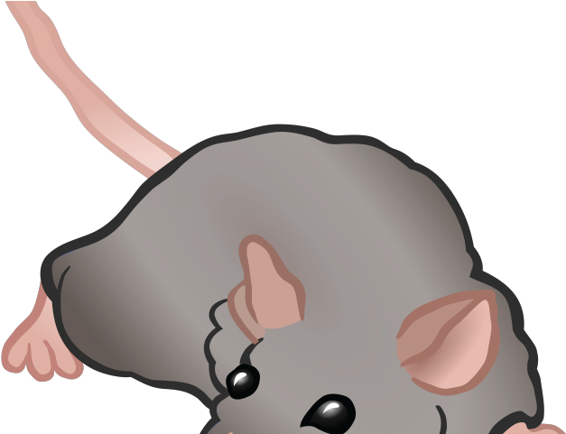 Rodent Clipart Harvest Mouse - Png Download (640x480), Png Download