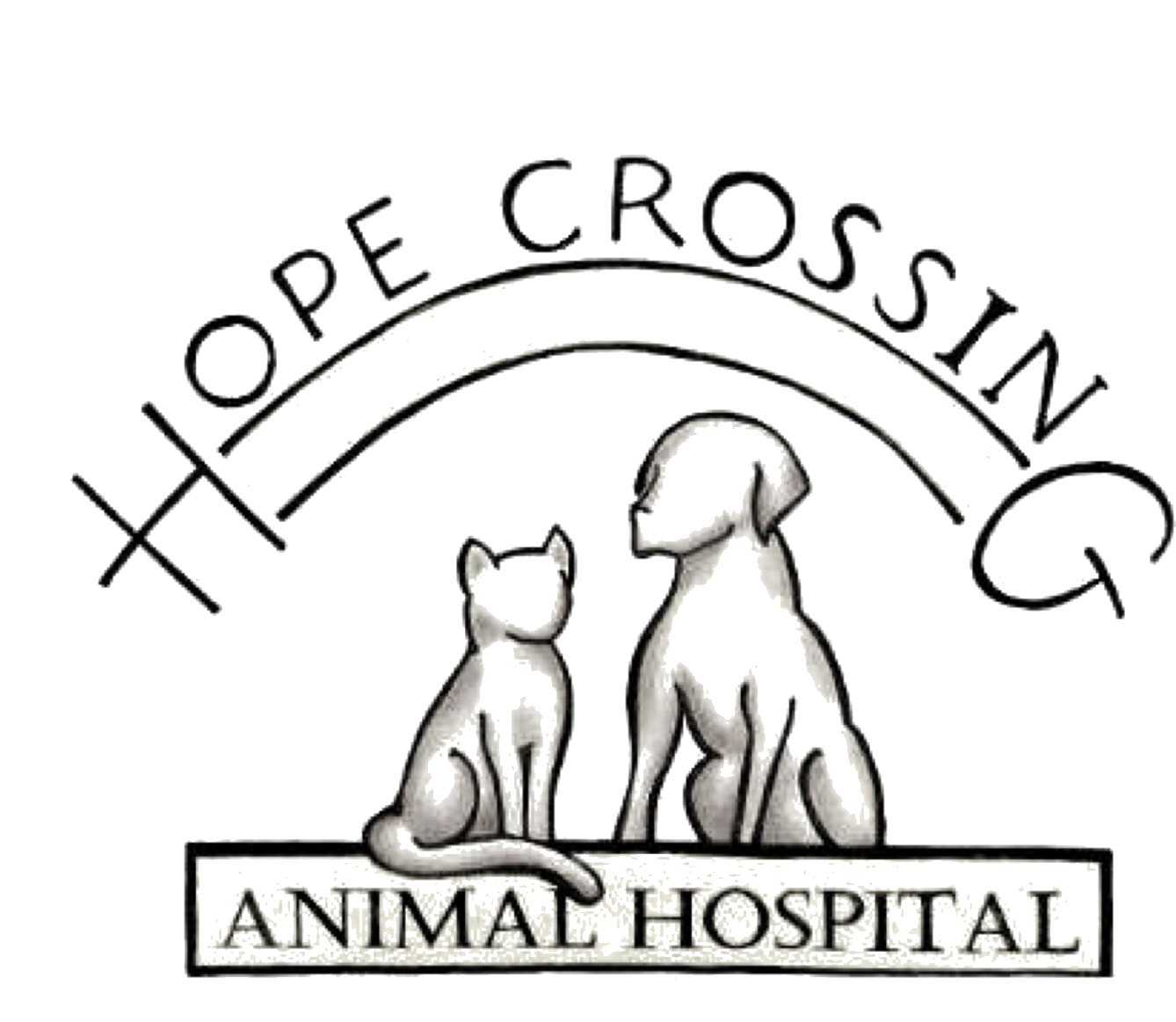 Vet Drawing Animal Care - Cartoon Clipart (1384x1162), Png Download