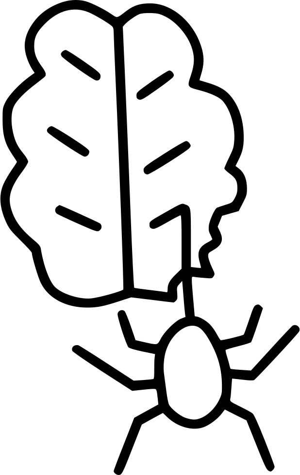 Picture Free Stock Brain Spider Svg Png Icon Free Download Clipart (618x980), Png Download