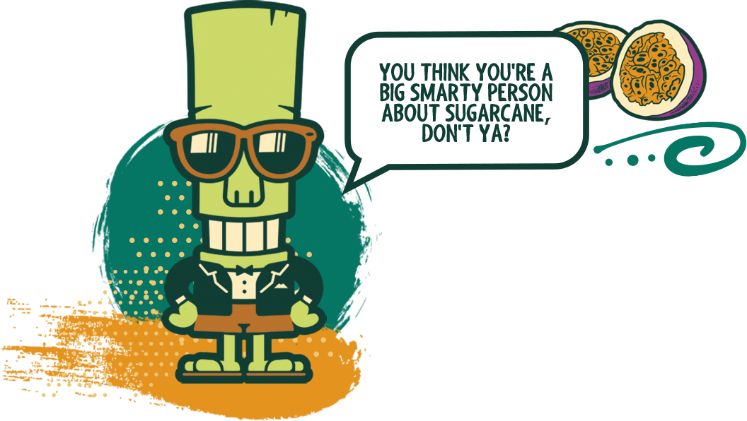 “i Know Everything There Is To Know About That Sweet, - Senor Cane Cartoon Clipart (1056x596), Png Download