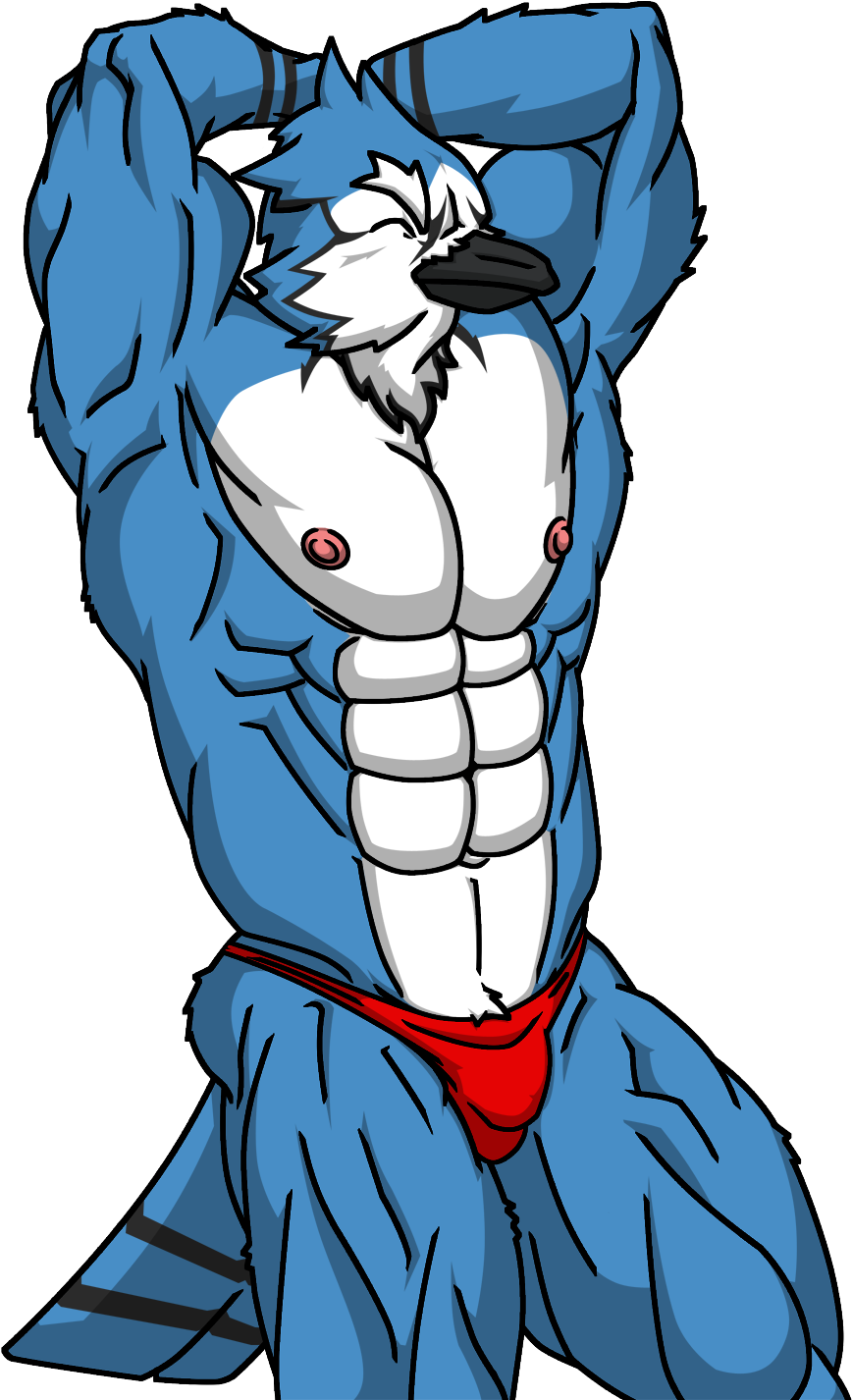 Blue Jay - Illustration Clipart (984x1500), Png Download