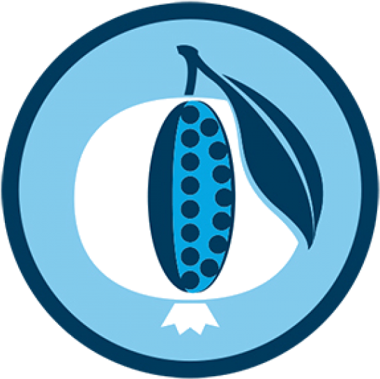 Pomegranate Society Clipart (570x571), Png Download