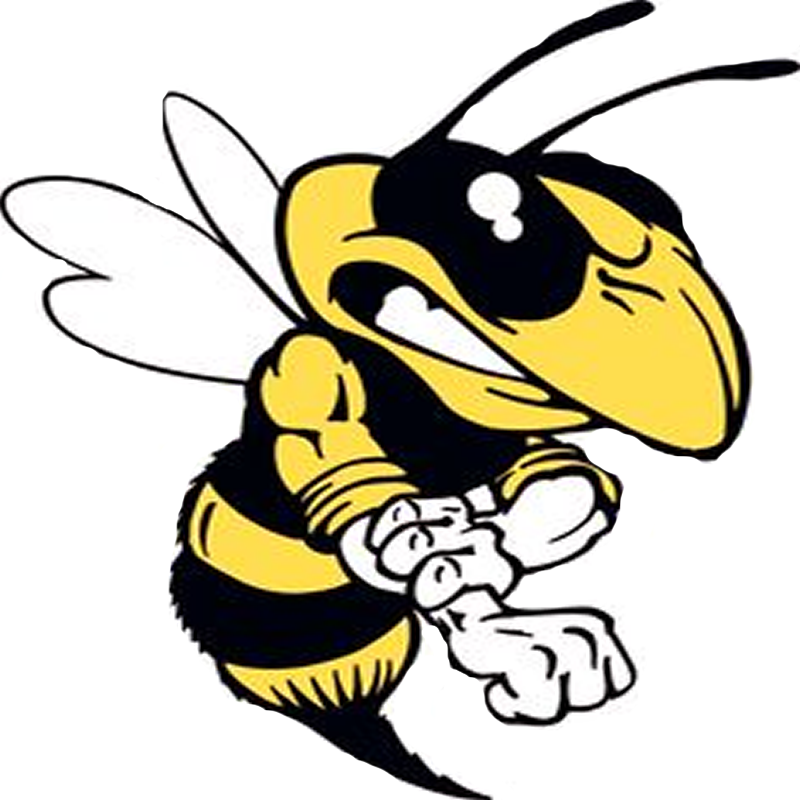 Wasps And Hornets - Hillside High School Hornets Clipart (800x800), Png Download