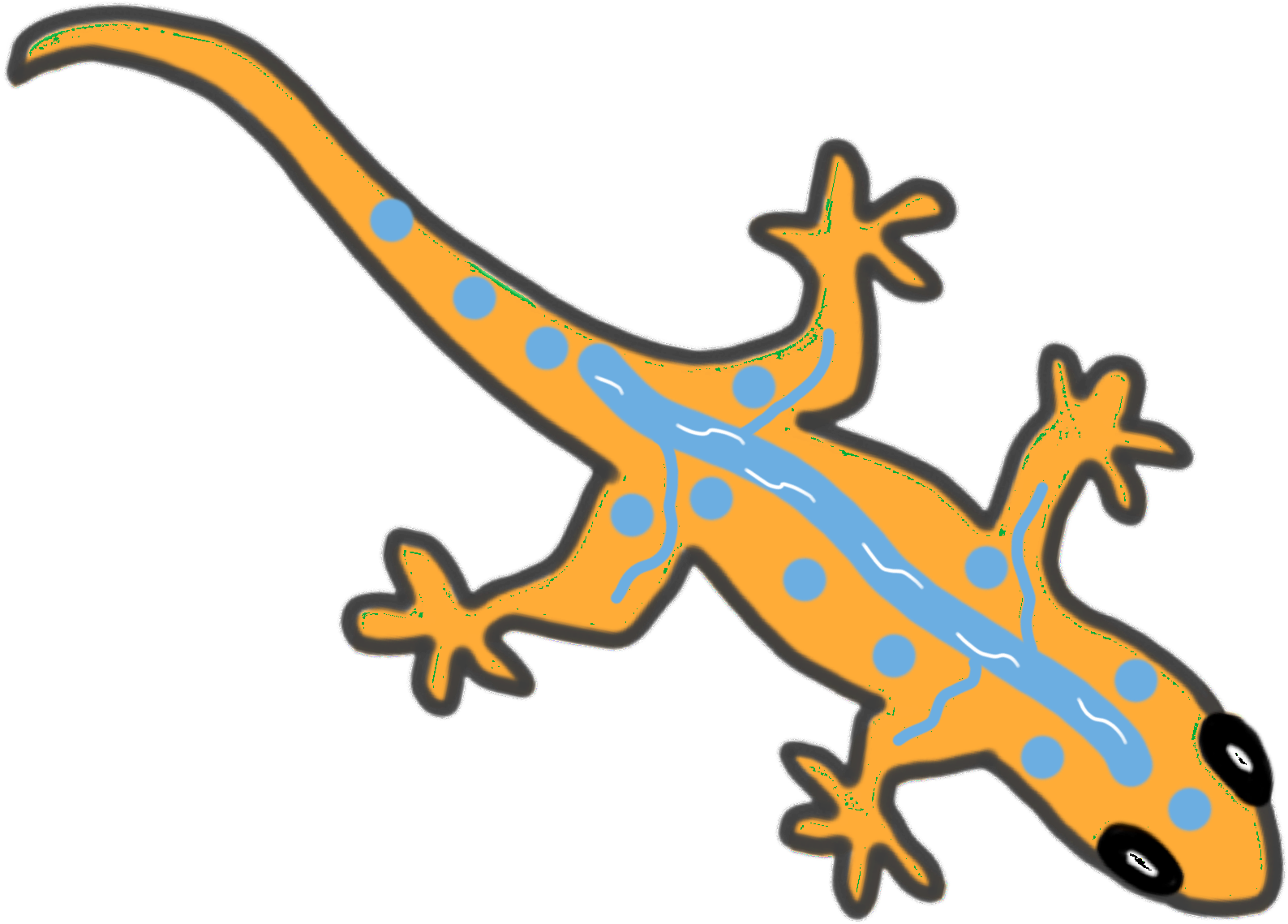 Gecko Clipart Easy - Gekkonidae - Png Download (1632x1224), Png Download