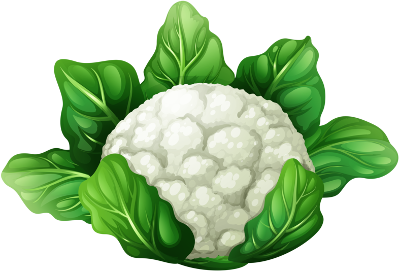 Cauliflower - Vegetables White Background Clipart (800x545), Png Download