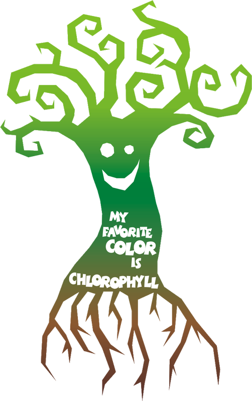 Chlorophyll Is Only In The Plant Cell And Is In The - Illustration Clipart (502x800), Png Download