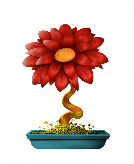 Flower - Common Zinnia Clipart (569x697), Png Download