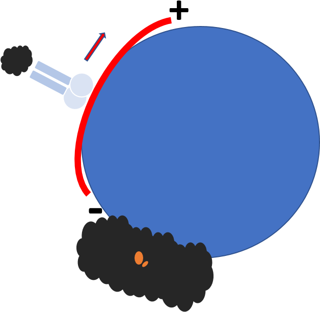 Dynamics Of The Golgi Complex During Interphase » Model Clipart (628x672), Png Download