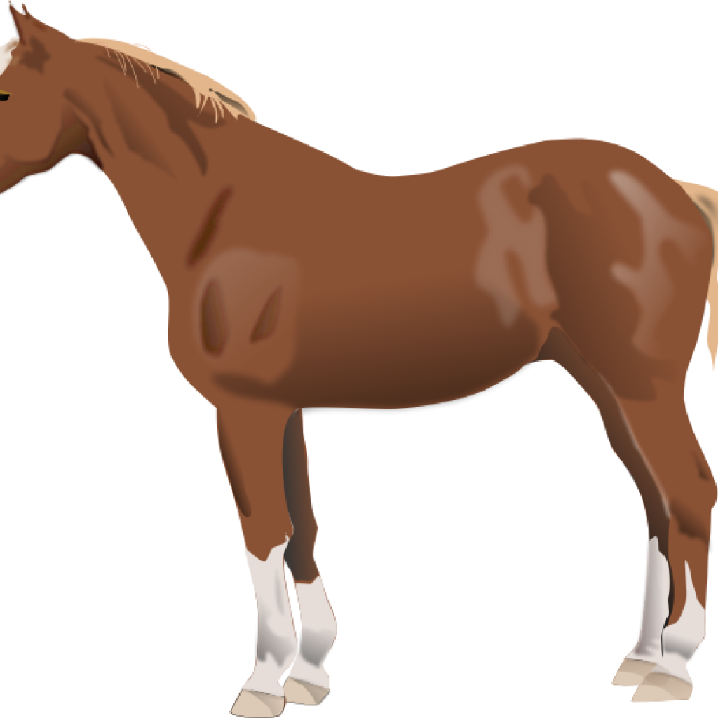 Horse Clipart Ba Horse Clipart Download Horse Clip - Animales De Granja Caballo - Png Download (1024x1024), Png Download