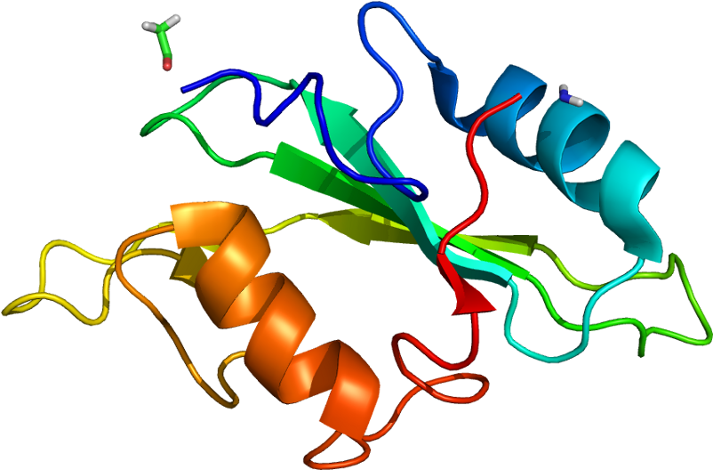 Protein Itk Pdb 1lui No Fog - Graphic Design Clipart (851x577), Png Download
