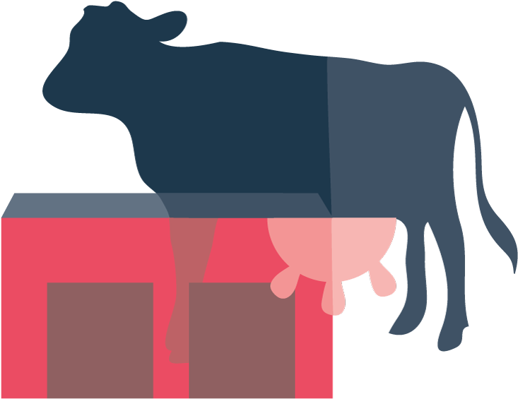 The Unh Organic Dairy Research Farm, Opened In 2005, - Dairy Cow Clipart (752x593), Png Download