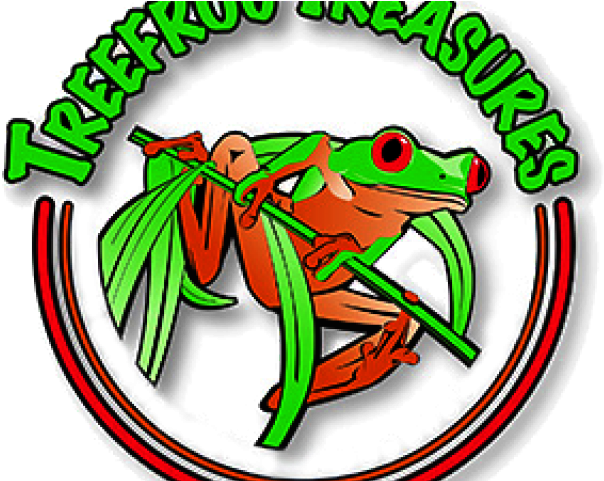 Battle Clipart American Revolutionary War - Toad - Png Download (640x480), Png Download