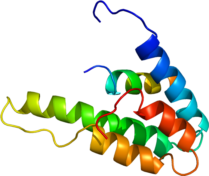 Sin3a Protein Clipart (744x635), Png Download