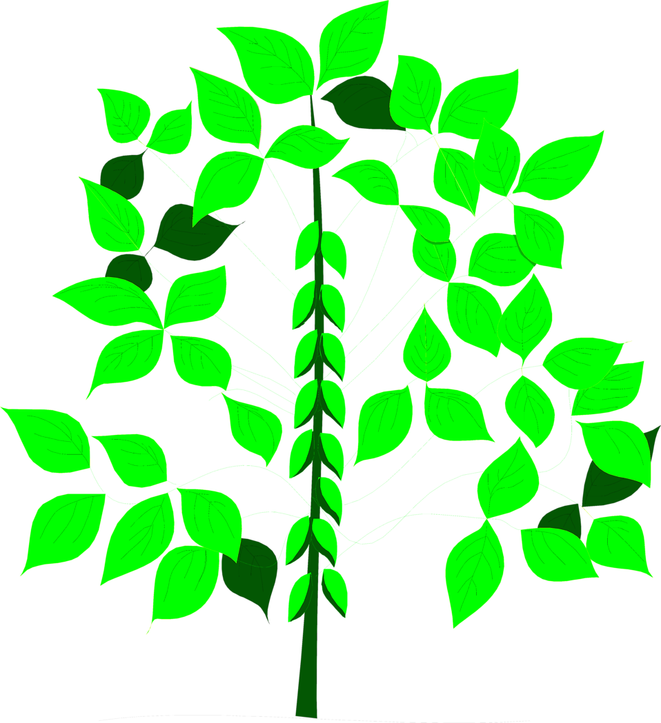 Soy Bean Free Stock Photo Illustration Of - Soy Plant Clipart (958x1049), Png Download