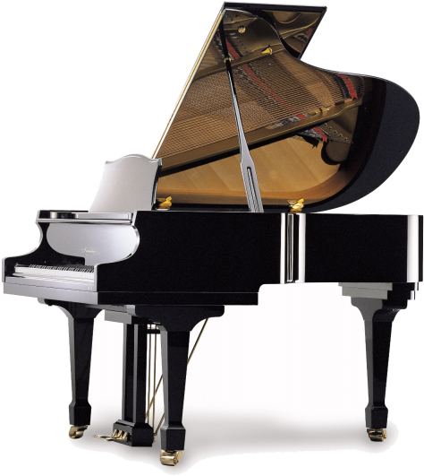 Haessler H186 - Grand Piano Clipart (564x600), Png Download