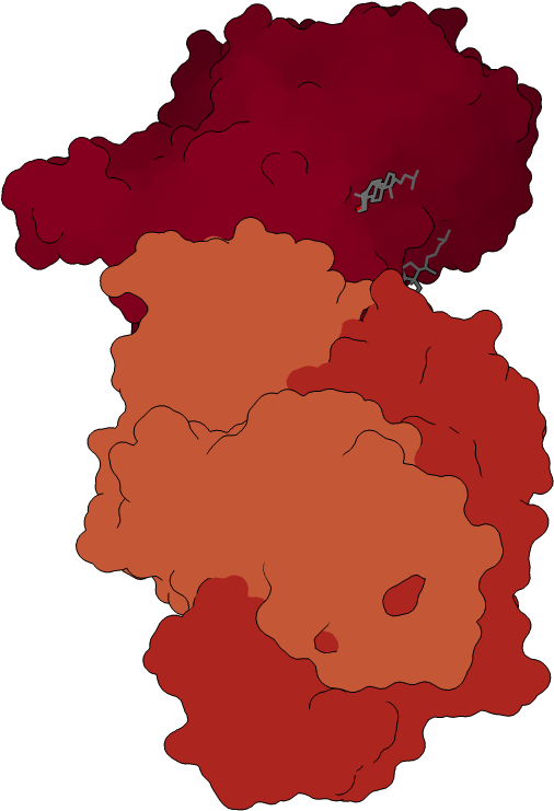 Flat Surface Display - Illustration Clipart (1000x1000), Png Download