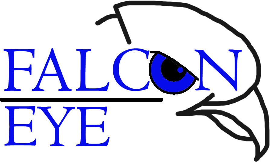 Friday, February 8, - Falcon Eye Clipart (1024x768), Png Download